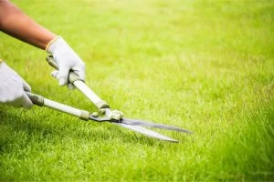 Professional Landscaping Contractor Owasso, OK