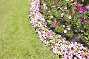 Reliable Landscaper in Owasso, OK