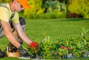 Trusted Landscaper in Owasso, OK