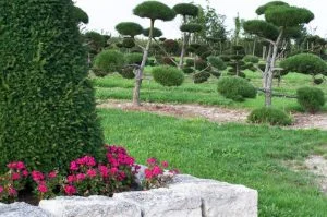 Expert Landscaping Contractor Owasso, OK 74019 Professional Landscaping Contractor Owasso, OK 74019