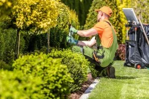 Landscaping Contractor Owasso, OK